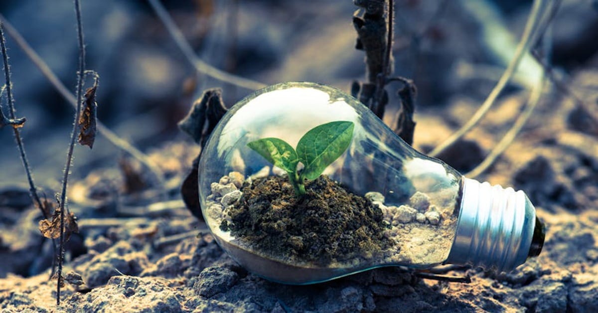 AI a zrównoważony rozwój to szansa czy zagrożenie dla polskich małych i średnich przedsiębiorców?